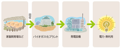 バイオガス 利用の流れ