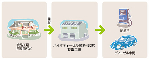 バイオディーゼル燃料 利用の流れ