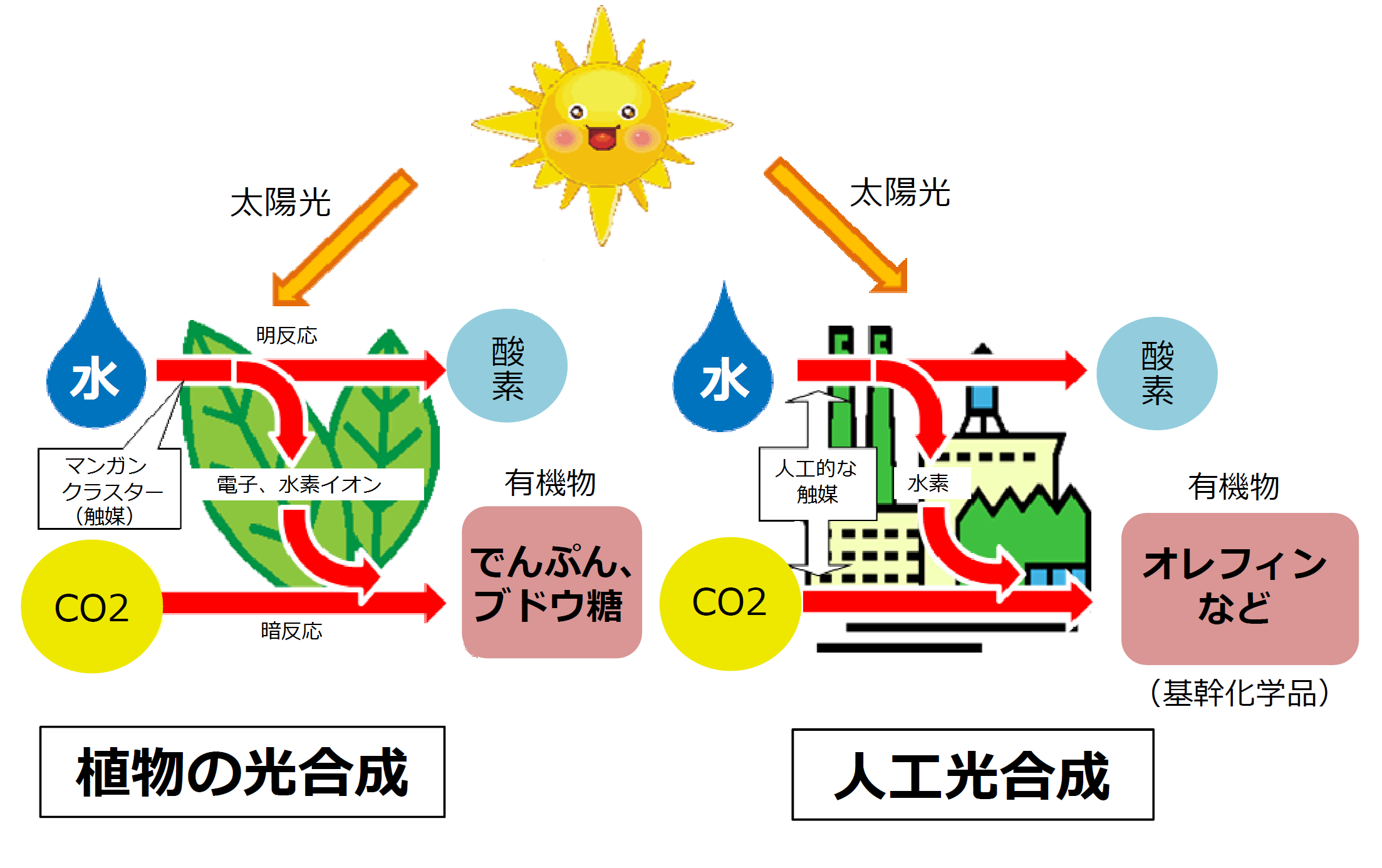 人工光合成と植物の光合成を比較して概念を説明した図です。