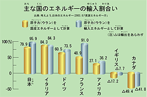 主な国のエネルギーの輸入割合い