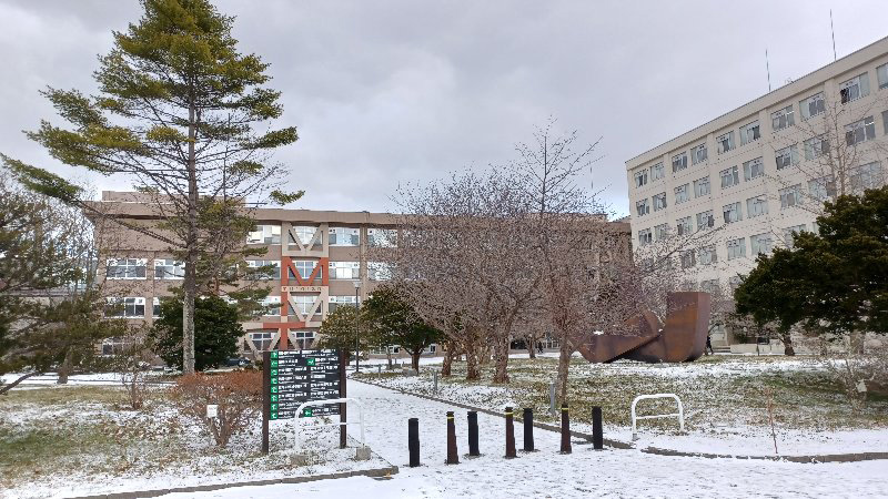 室蘭工業大学