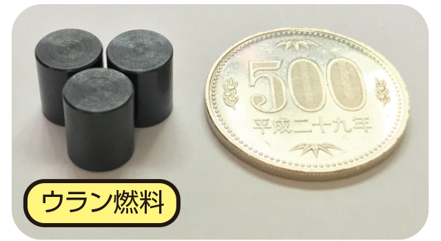写真：ウラン燃料と500円玉の比較
ウラン燃料3個と500円玉の大きさが同程度