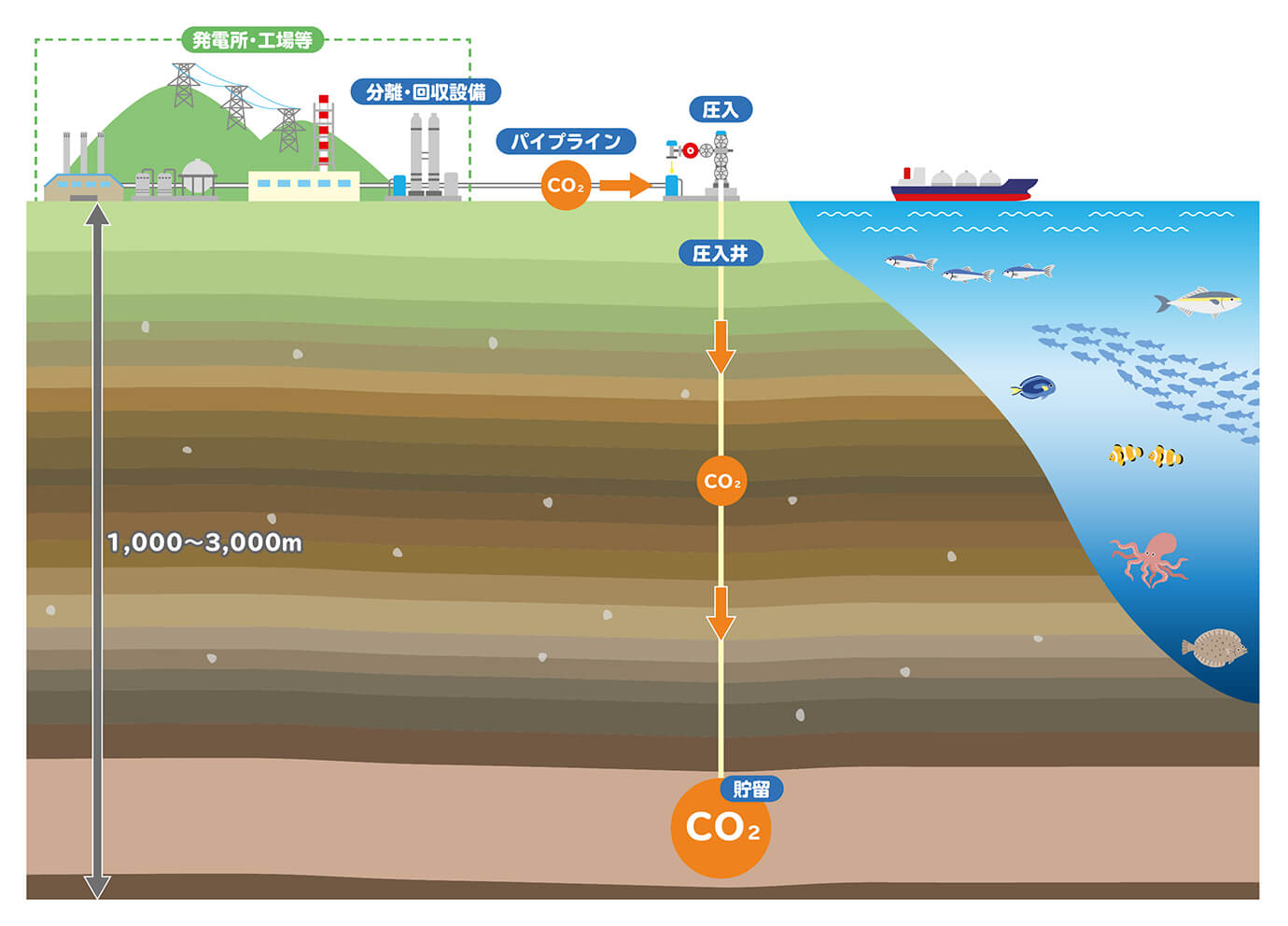 CO2を貯めるのは、地下約1,000mから3,000mの深さにある地層