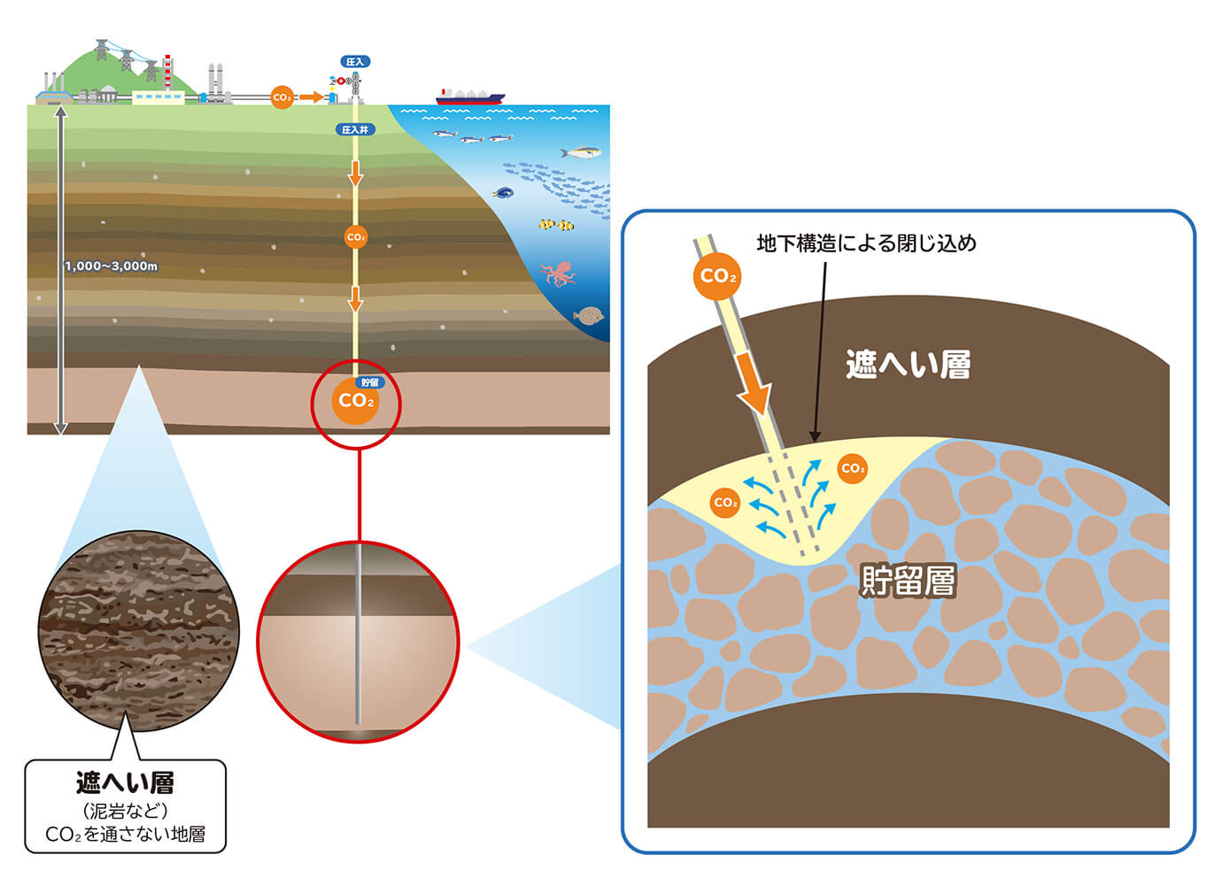 遮へい層(泥岩など)CO2を通さない地層