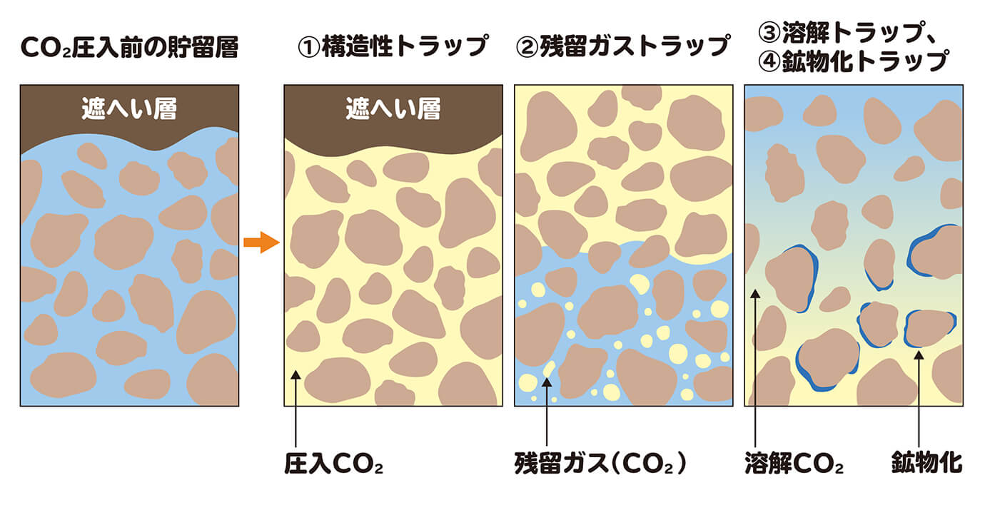 自然の力で進行する「4つのトラップ」と安定化