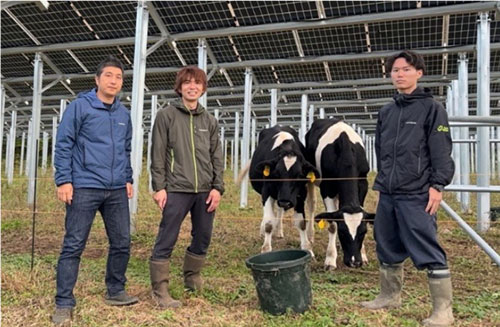 石が多い箇所は放牧も 敵地適作を心がけるイメージ