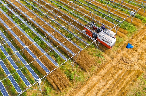 設備下 農作業の様子イメージ