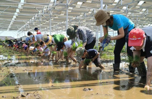 フリエネ1号棟となる住宅イメージ