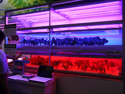 植物工場